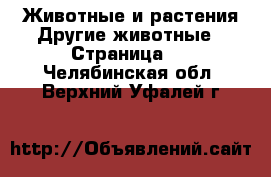 Животные и растения Другие животные - Страница 3 . Челябинская обл.,Верхний Уфалей г.